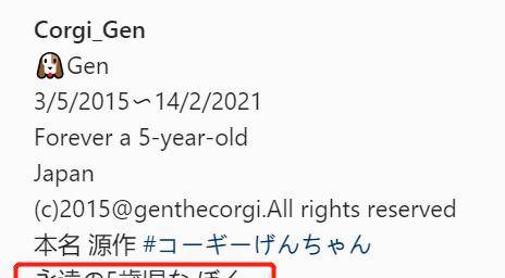 Gen|表情包柯基不敌病魔，5年来一直分享快乐！主人：开心送它离开