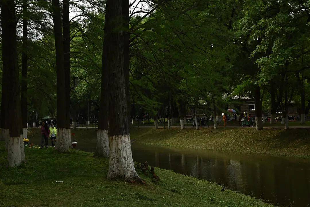 幼儿园|绿就一个字，可是已经把全世界都融化了（一个幼儿园教师的快乐暑假）