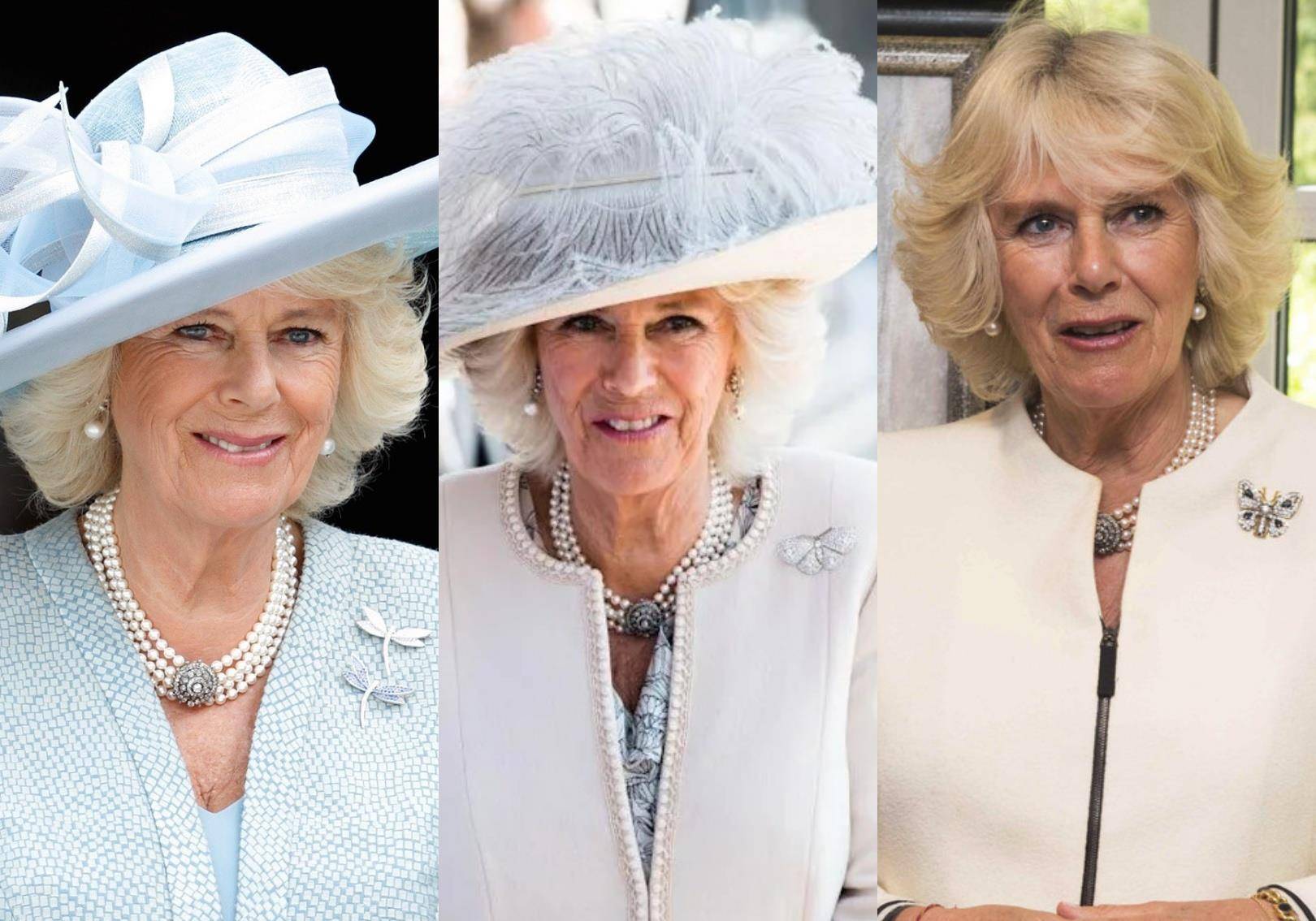 查尔斯|卡米拉和戴安娜珠宝PK，谁的数量更多？