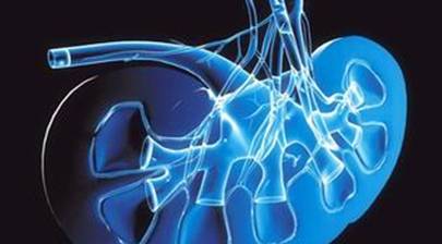 肾脏|为什么现在肾病人群越来越多？医生：有些食物爱吃的人越来越多了