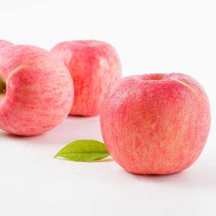 苹果新品种中哪个最好 a00120ca90fd495780d0ebd912e201eb.jpeg