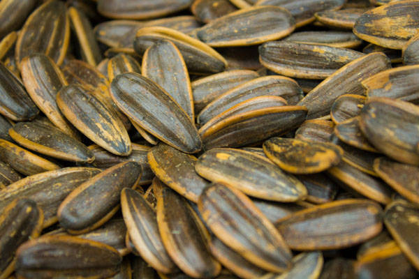 物质|零食尽量少吃,容易胖、伤血管,再喜欢也要管住嘴