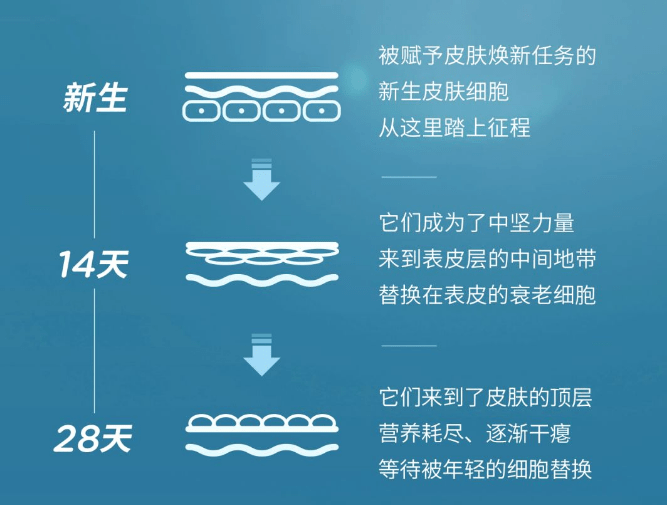 白绒水|零瑕疵肌秘，mitoq皓白胶囊给你高能守护