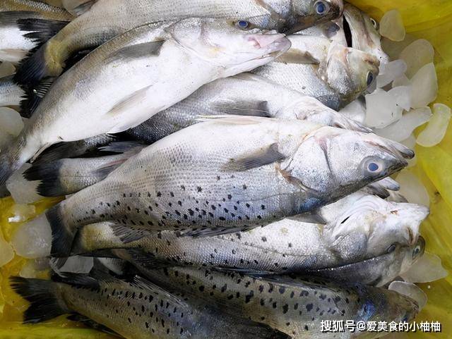 眼睛|买鲈鱼，别只知道挑大的！碰到这3种要懂得避开，搞清再买不上当