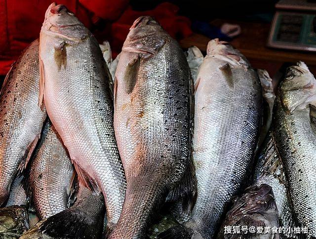 眼睛|买鲈鱼，别只知道挑大的！碰到这3种要懂得避开，搞清再买不上当
