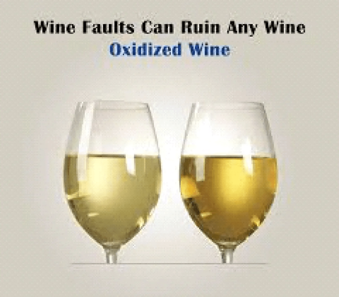 因为|别卡速:格鲁吉亚葡萄酒品酒师课程(九)