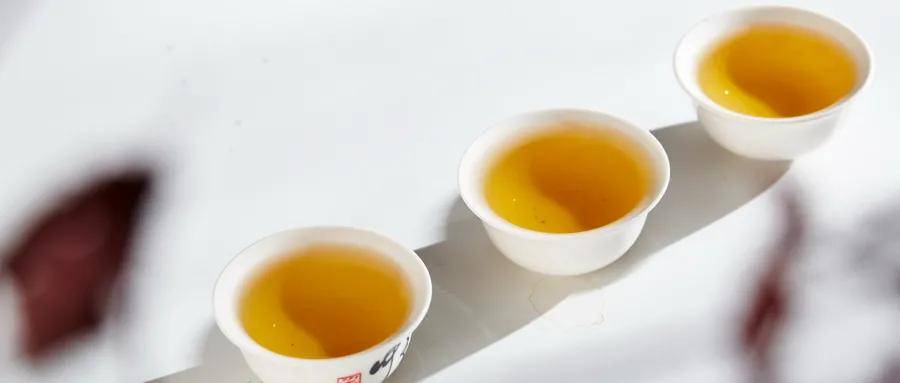 人体|疫情期间,感受一杯白茶的力量,专属于爱喝茶的你