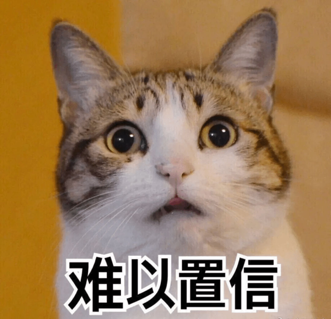 宝岛环游记之喵居珈琲与烟熏猫民宿| 喵喵妈文集, image size:1080x1041