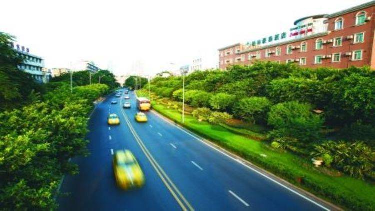 重庆最特殊的道路，绿化带面积比马路还要宽，网友：重要精神象征
