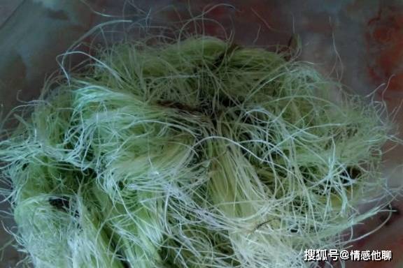 无花果|孕期，3种食物坚持吃，助你排出“胎毒”，宝宝皮肤好