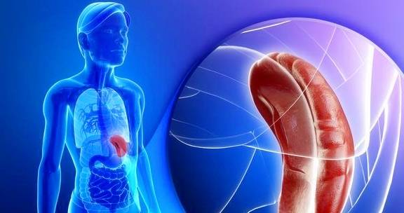 怎么看骨龄的正确方法 a88941f102c54b00a0f623760f67018a.jpeg