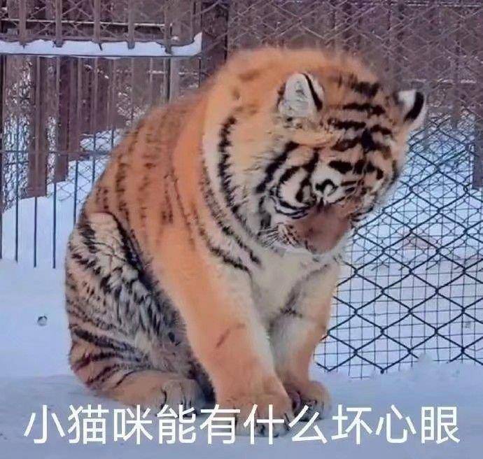 因为|皮肤太白是种啥体验?好家伙,太阳底下像灯管一样