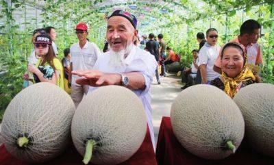 新疆的瓜果为什么这么甜！正确的不能再正确！