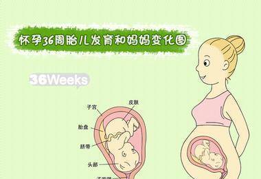 怀孕36周的时候宝宝才四斤多,怎样可以长得快一些 过来人分享
