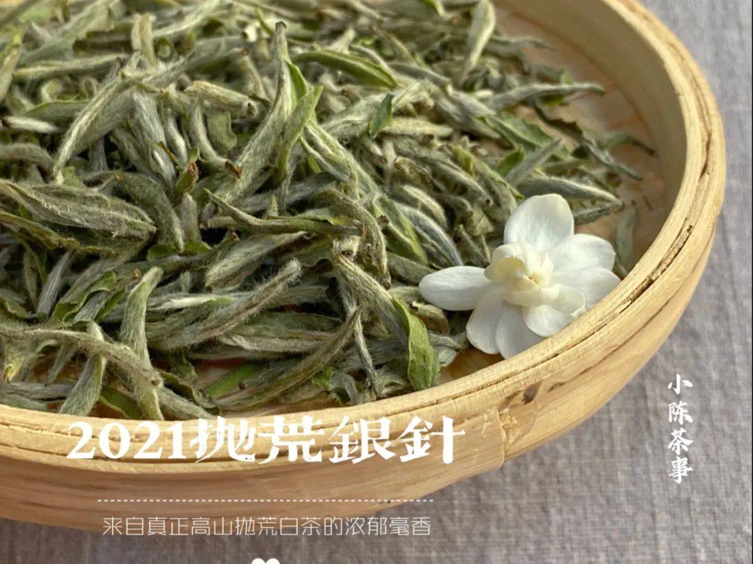 沸水|85℃热水与100℃沸水，哪个水温更适合白茶？你喝对了吗？