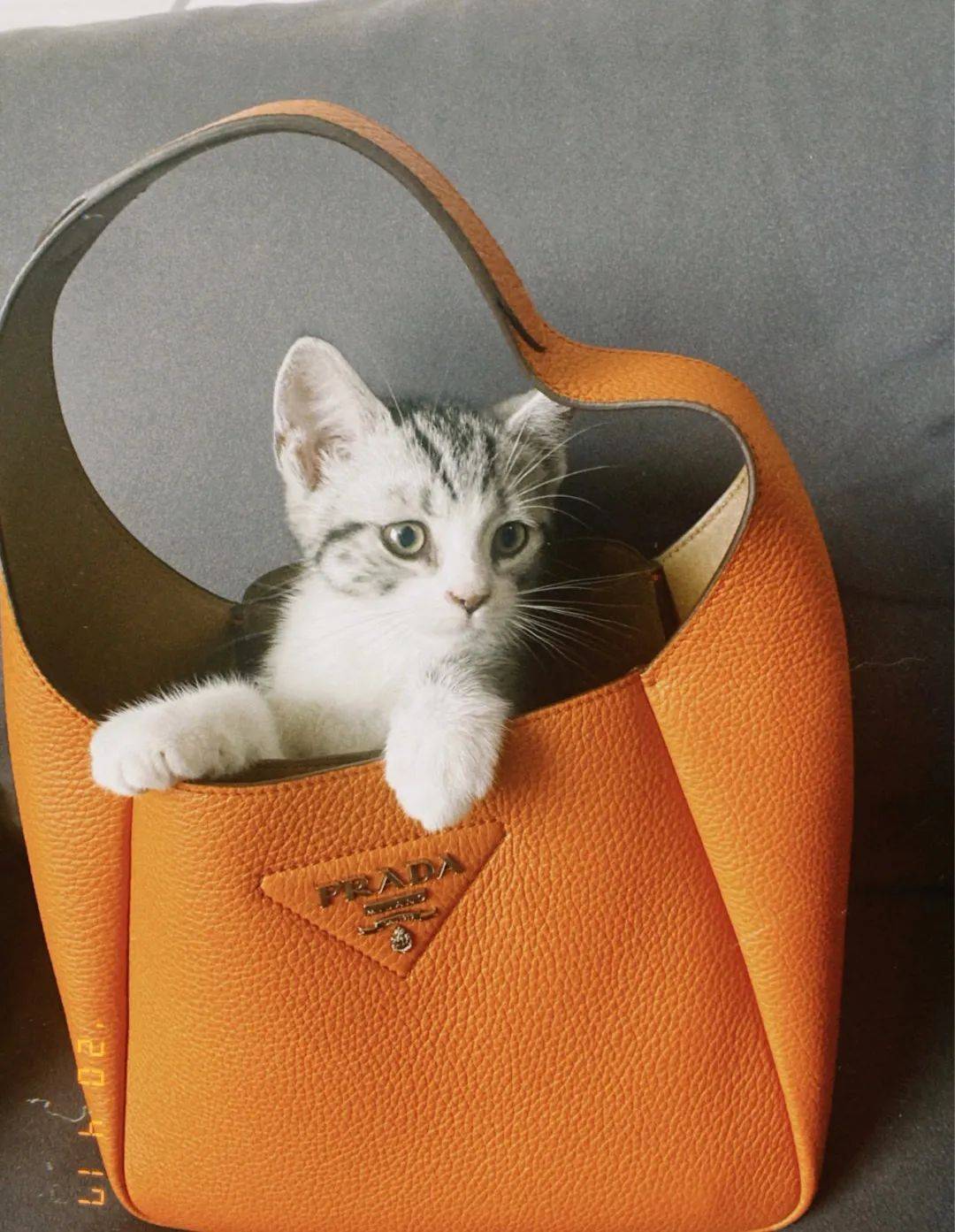 下装|程潇换新发型,齐刘海波波头像“芭比娃娃”,减肥成功后更加上镜