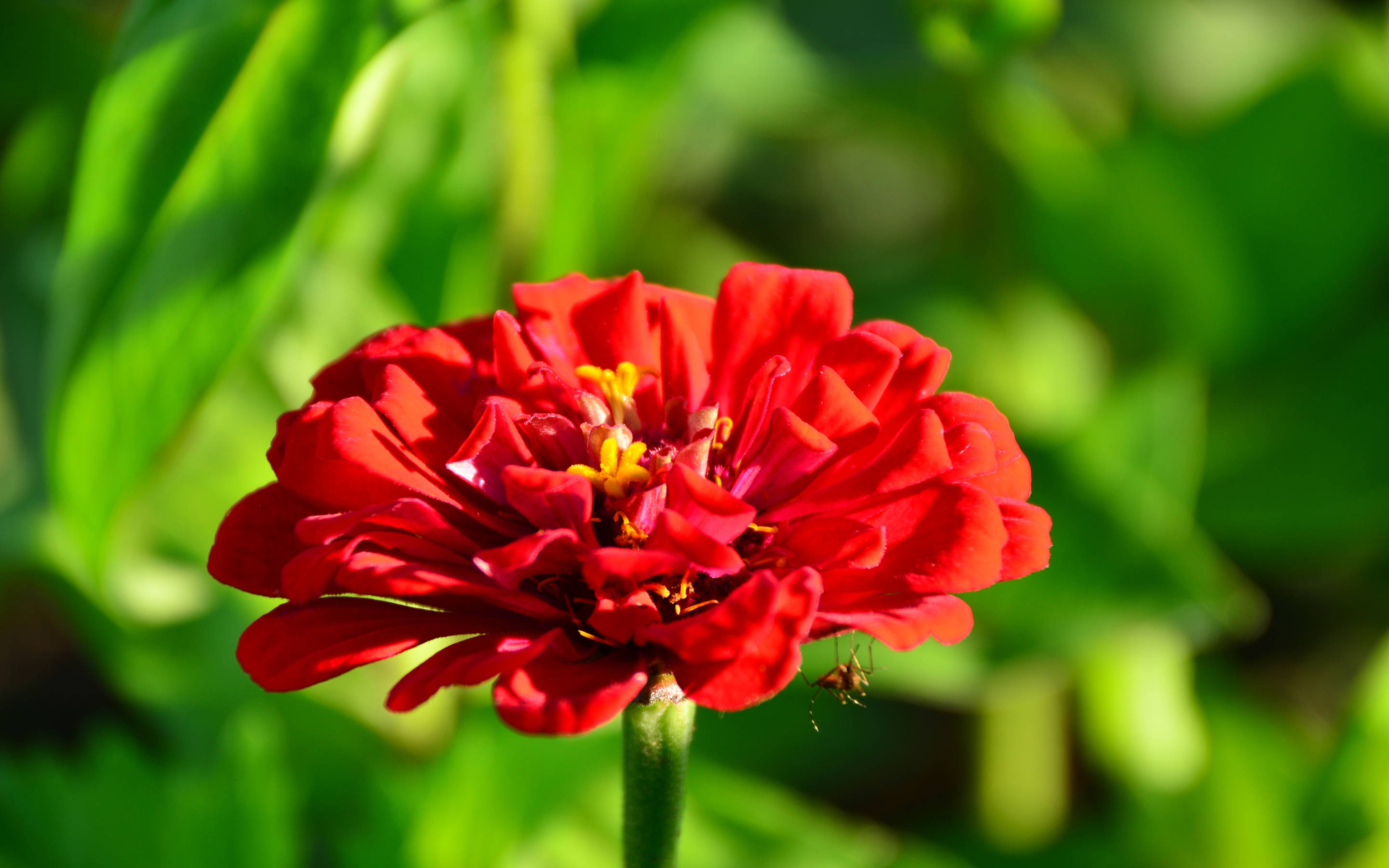 8月11日星座运势 攻守俱佳 如愿以偿的四大星座 生活