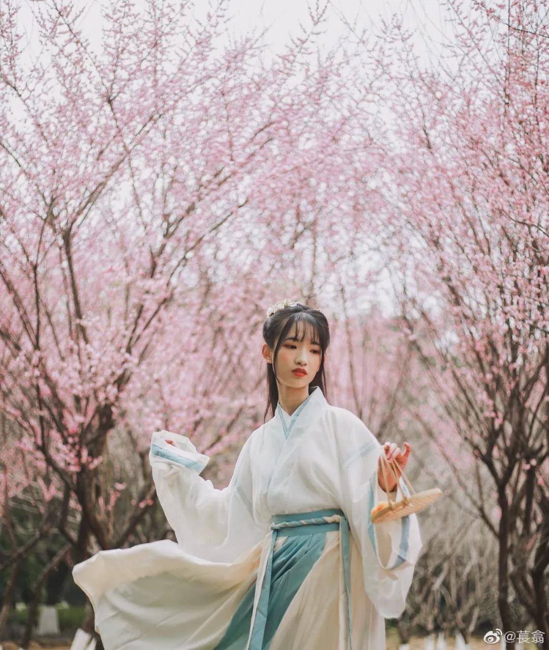 摄影|汉服小仙女：仙女来了
