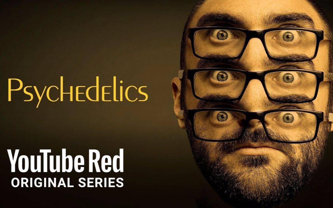 如何做好一个知识博主,脑洞是关键,youtube博主分享成功经验_stevens