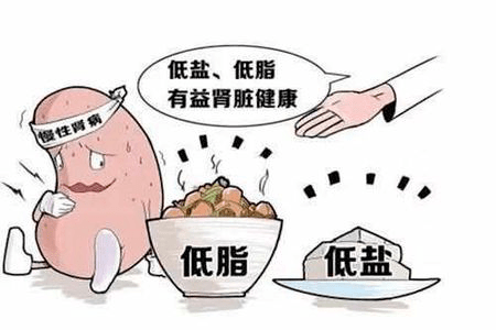 关键|肾病一定会发展到尿毒症?延缓肾功能?做到这两点很关键!