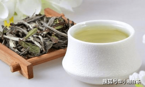 福鼎|福鼎白茶最怕什么？你知道吗？