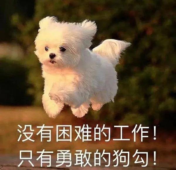 成绩|TA无语言成绩 录取群马大学研究生！！！