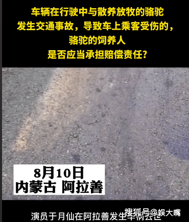 8月9日,于月仙在内蒙古阿拉善境区内遭遇车祸并且不治身亡的消息算是