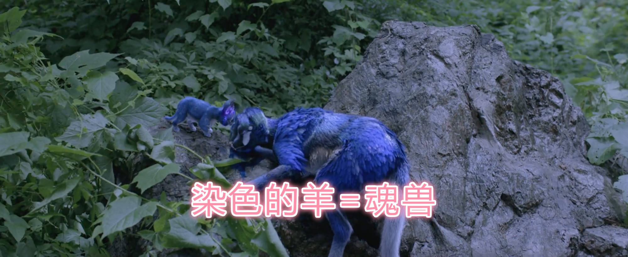 大哥|新《斗罗真人版》来了！成龙演唐昊超霸气，唐三好帅，吊打肖战版
