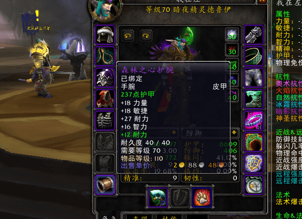 魔兽tbc怀旧服熊t二阶段毕业配装分享生存与仇恨兼顾