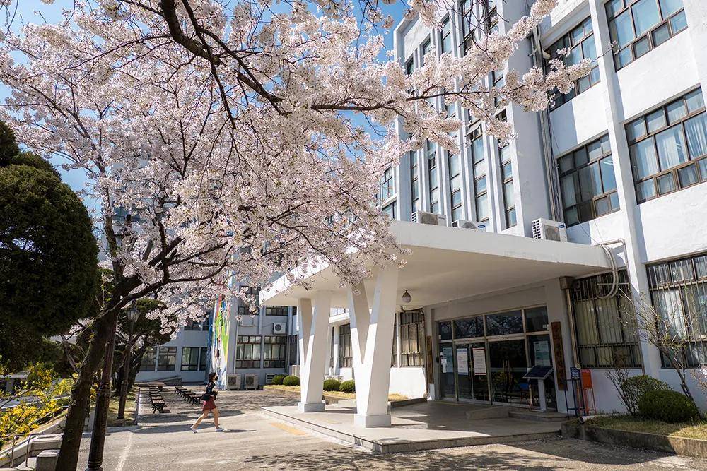原创韩国大学语学院申请报名流程材料清单