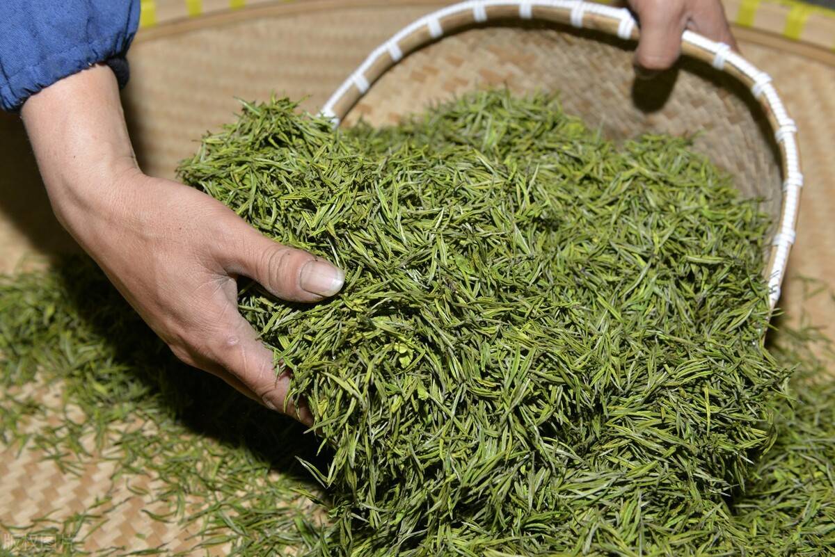茶叶|优质白茶的4个标准，茶友们不妨看一下