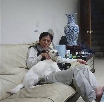 老爸不同意養路邊野狗，不出幾個月卻深陷其中！ 萌趣萌寵 第3张