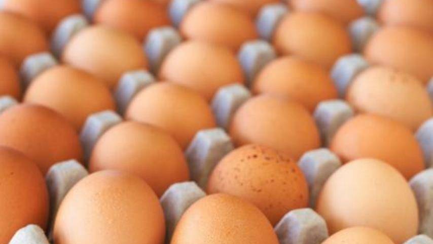 做法|揭秘：20个鸡蛋同时放入“电饭煲”能做出什么样的美食呢？