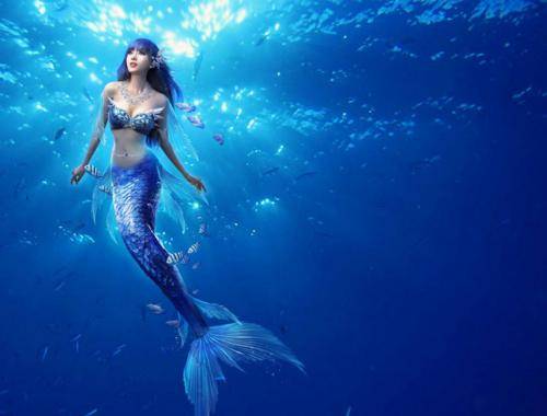 将极致热爱融入职业,"美人鱼"的征途是广阔大海
