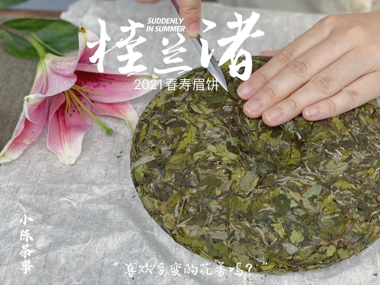 养分|长期收藏白茶，选散茶还是饼茶？两者的转化速度有快慢之分吗？
