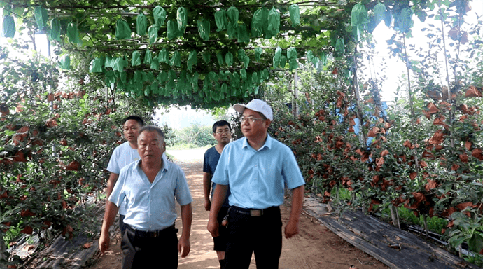 努力三年没有得到回报的姚树林一度想要放弃"我当时