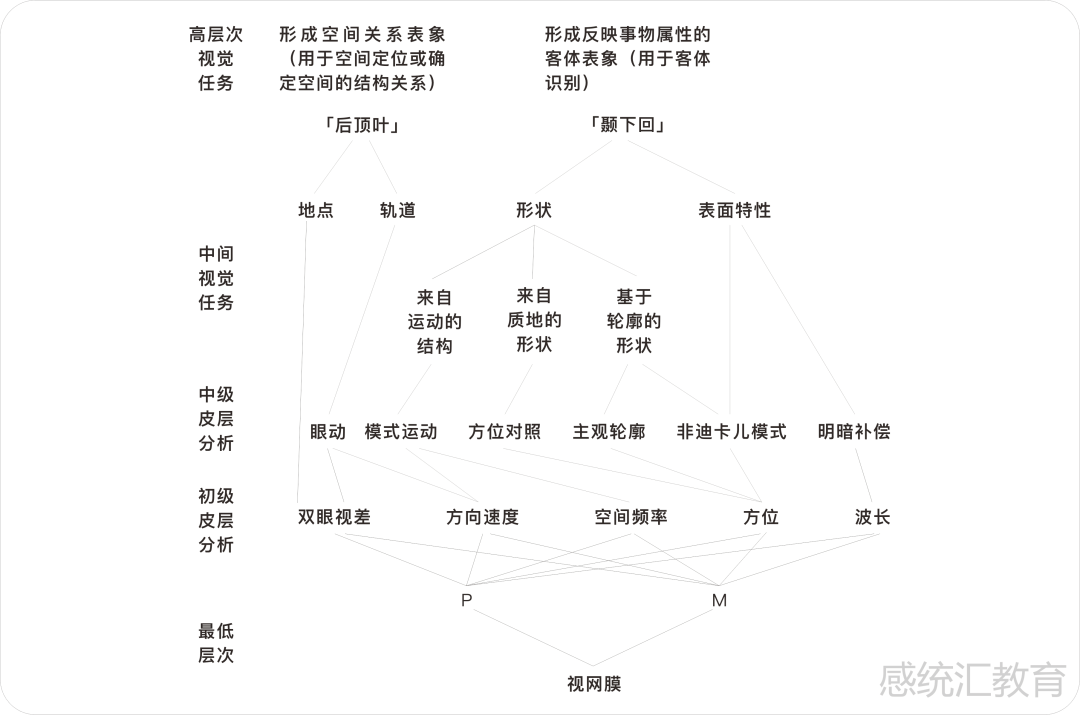 「視知覺」奠定兒童超強記憶力的基礎_視覺