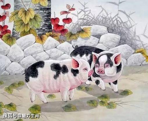 喜鹊报喜8月21日开始 运势大吉 既富有魅力 四大生肖运来如泉涌 横财