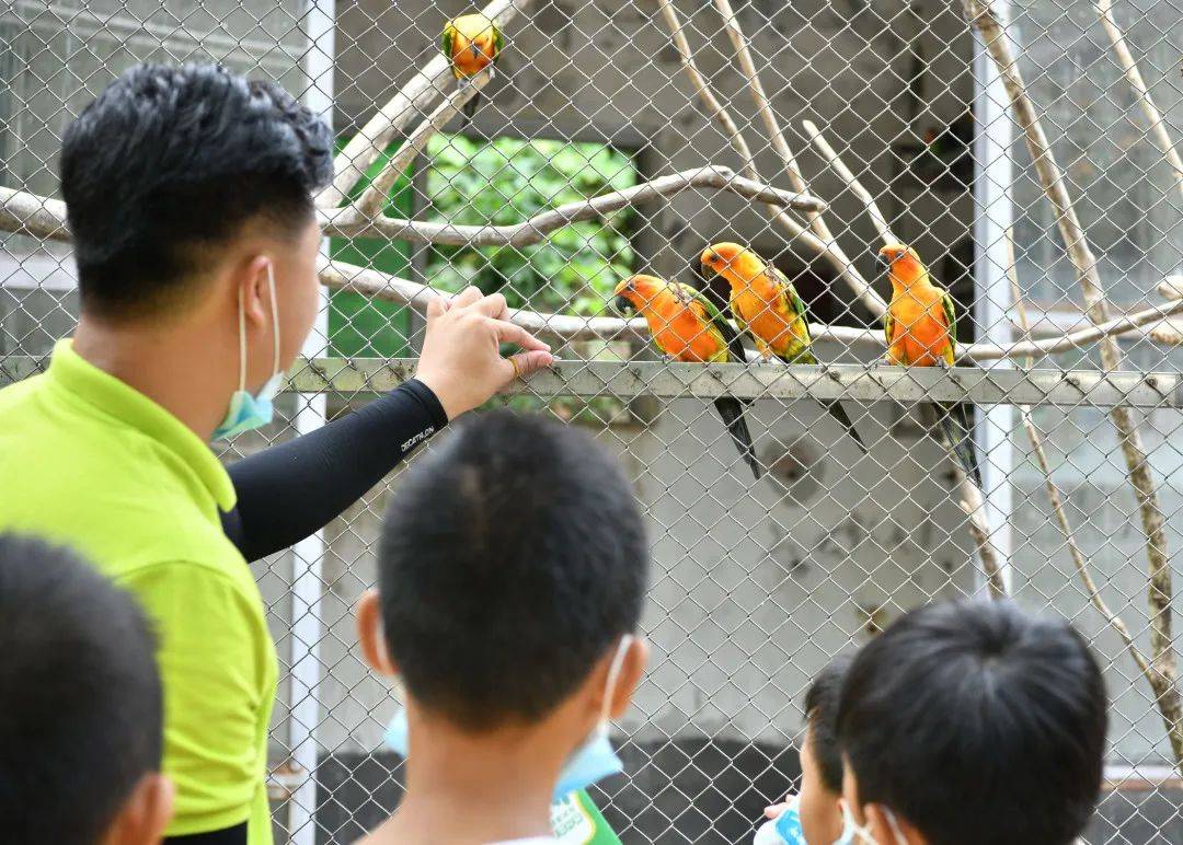 贛州森林動物園鳥類探索親子課堂來啦快帶上你家萌娃來參與吧