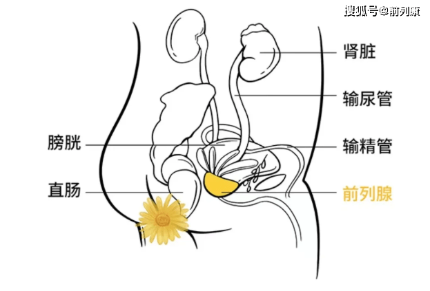 正所謂