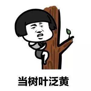 a090849e8f20494ea5bae375a6712acc.jpeg