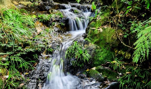 佛山南丹山有几十处瀑布溪流，还可以下水捉山坑鱼