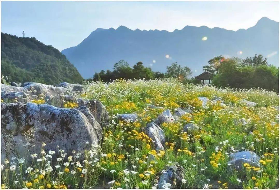 原創四川一個海拔1400～2000米的景區,是4a級旅遊風景區