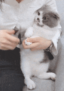 都能|搞笑GIF：这下完了以后没有零食让我吃了。