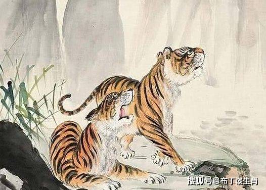 切成躲懒，自力更生。洞在清溪何处边猜一生肖,信息解析与普及