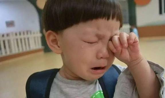 家长|“我们吃了很多苍蝇”，孩子表述不清，家长贸然质问闹出“乌龙”
