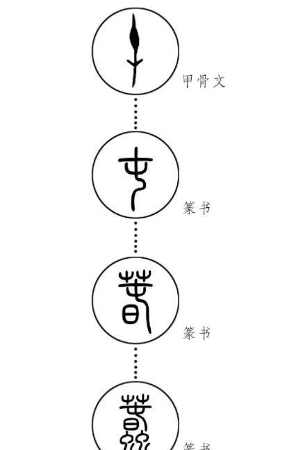 价值约三亿的甲骨文悬赏:破解一字奖十万,如今才一人成功