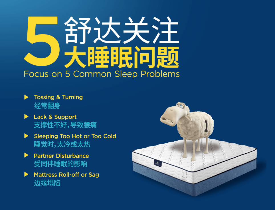 睡眠|2021年ICRT床垫比较试验：舒达床垫综合评级五颗星，透气性表现最佳