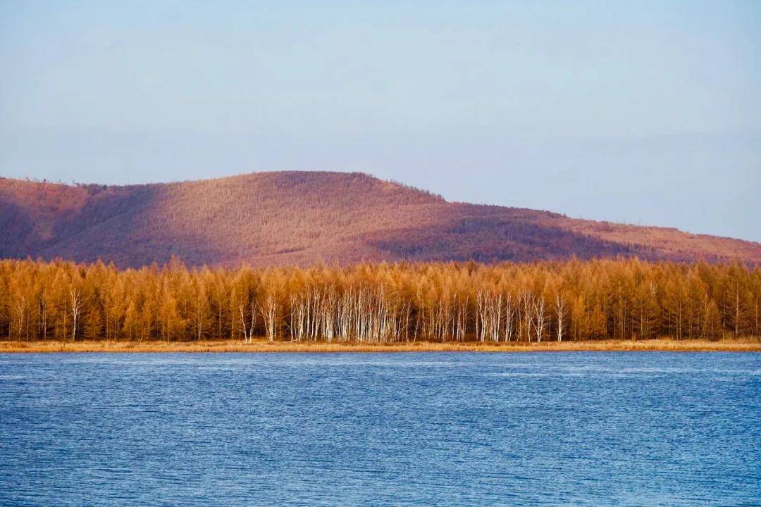 总有一天,我们会一起去看看内蒙的秋天_兴安岭