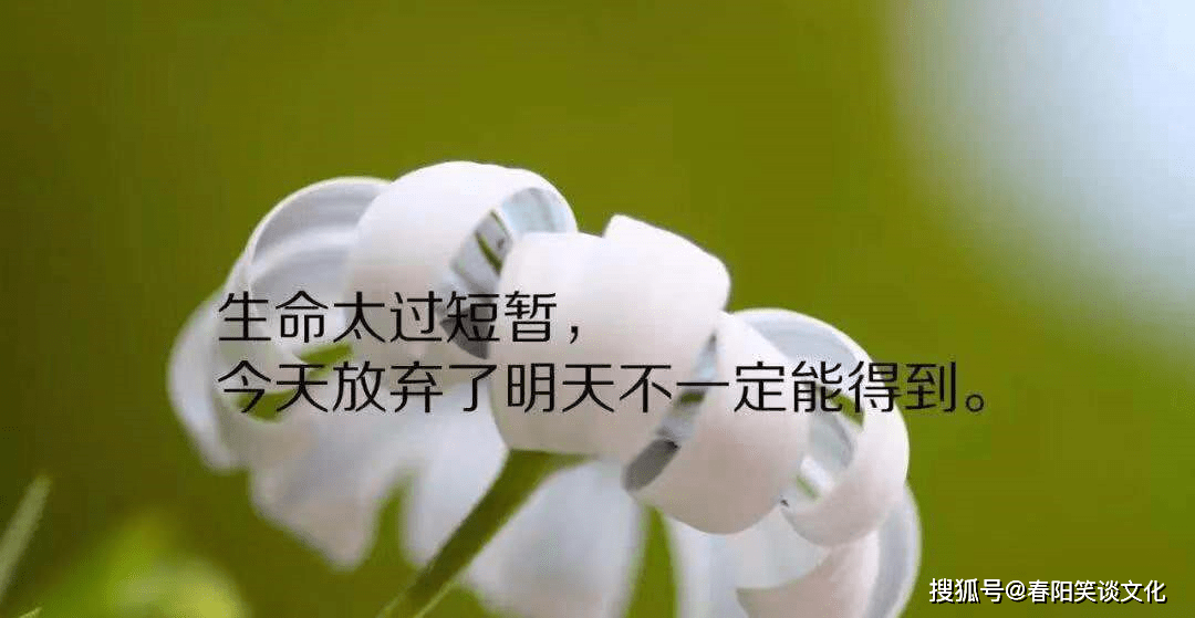 e3ce947df79c4dcf8a1eca0e0320fcd3.png